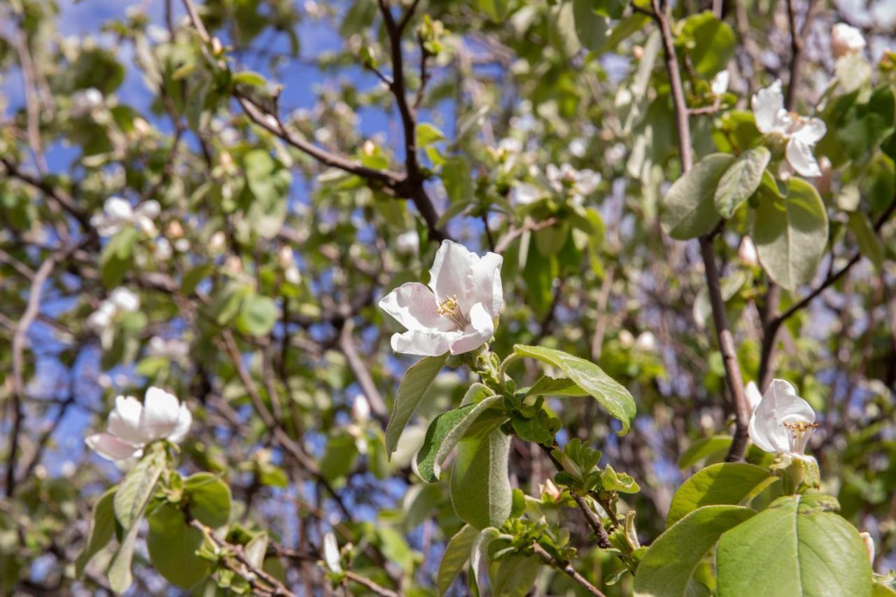 Vakantieboerderij Petrara Simeri Crichi