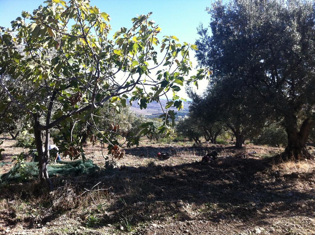 Petrara Alloggio per agriturismo